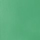 LQ HB BRIGHT AQUA GREEN